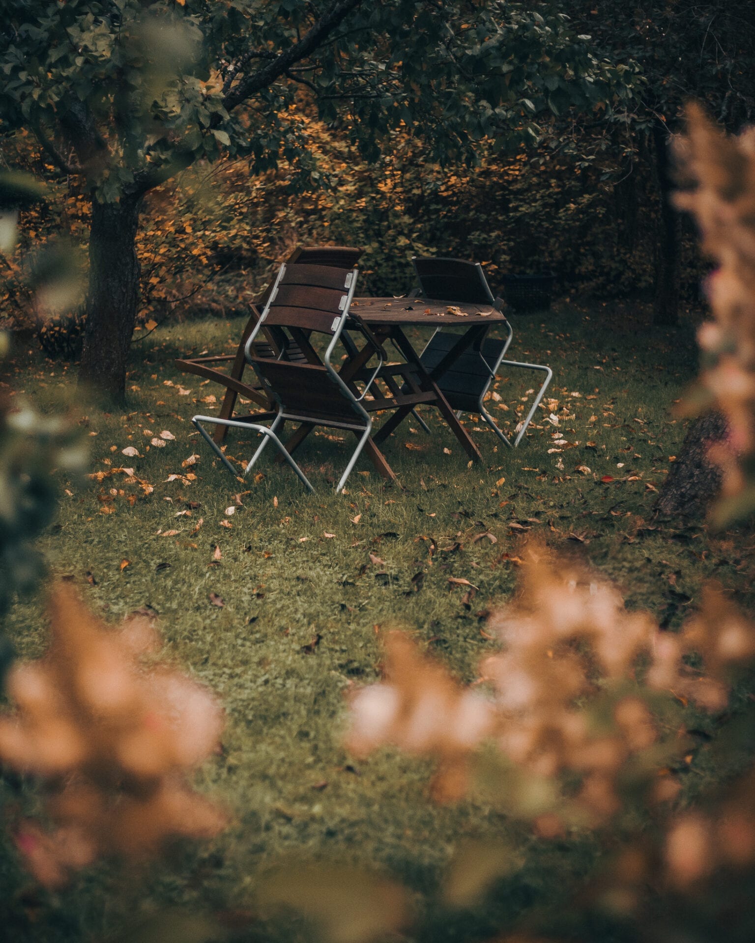 Autumn | DSLR Photography | Doctor Spin Memories of summer.