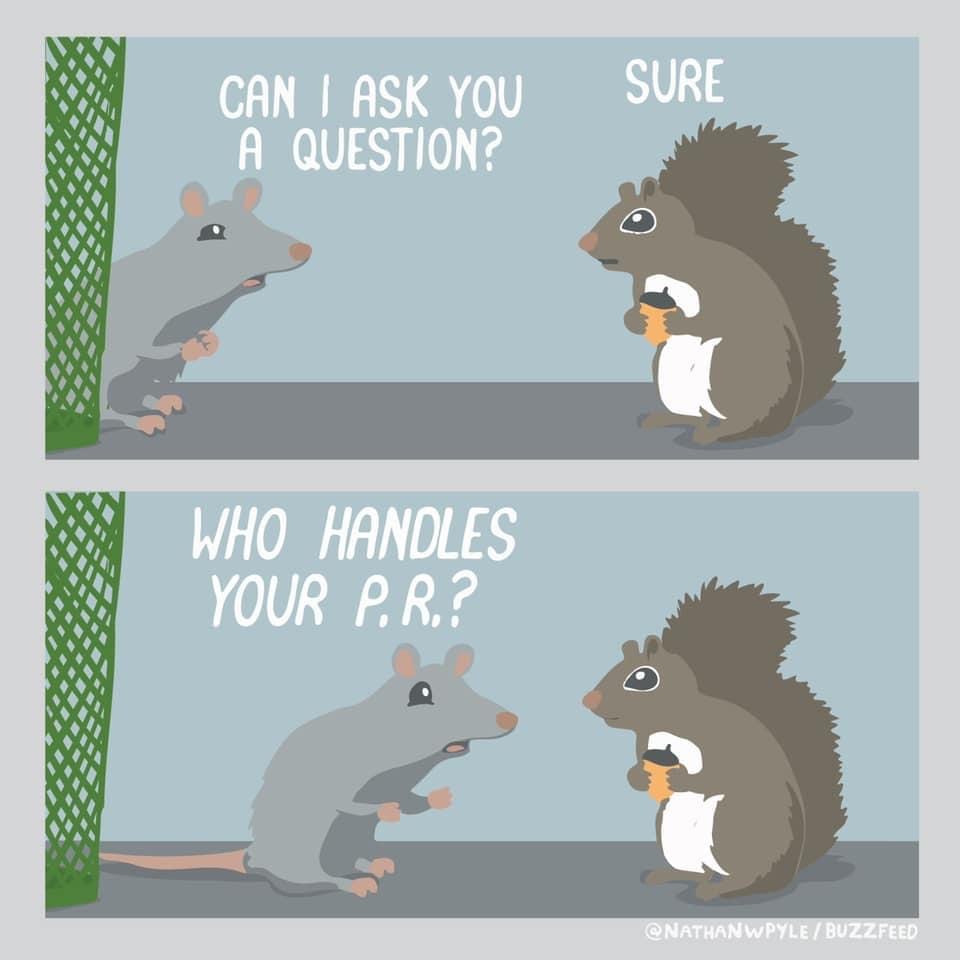 "A squirrel is just a rat with better PR."