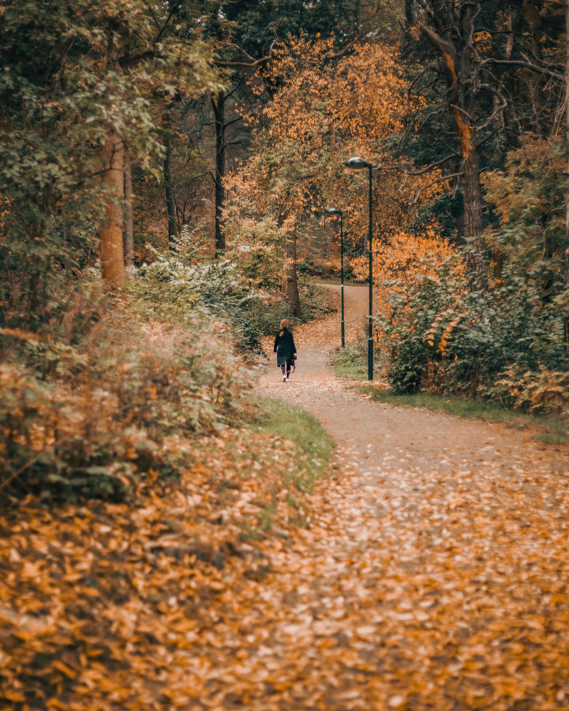 Wifey in Autumn | DSLR Photography | Doctor Spin Autumn-Walk-Lisah-Silfwer